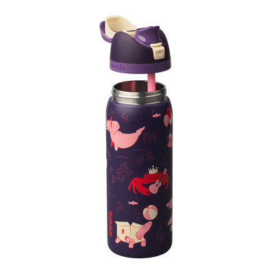 Birthday Bash 24oz FreeSip