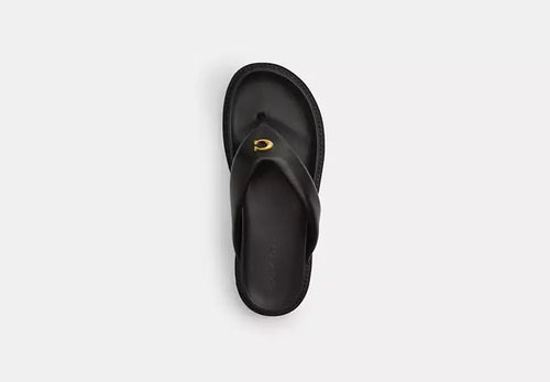 Brynn Thong Sandal